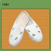 Anti Dust Womens ESD Cleanroom Anti Static Safety Shoes Footwear with Four Eyes
