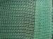 Green PE Greenhouse Insect Screen Building Window Screen 17x15