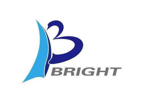 Bright Industrial Company