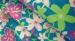 Polyester Spandex Stretchy Printed knit fabric 200gsm / Single Jersey Fabric
