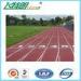 Exercise Recycled Rubber Outdoor Flooring Permeable Jogging Track Material