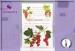Hanging Vermiculite 27g Red Current Fresh Scents Sachets Car Sachets