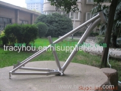 titanium mountain bike frame