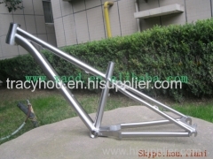 XACD-titanium mountain bike frame