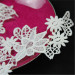 beautiful design polyester embroidered collar lace applique