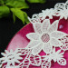beautiful design polyester embroidered collar lace applique