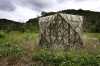 Outdoor Camouflage Hub Hunting Blind