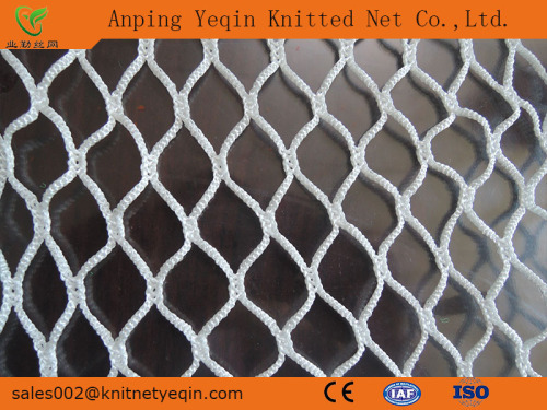 Anping Factory/Manufacturer High Quality PE/PP Knotless Sports Net