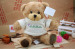 Custom voice recorder teddy bear for kid lovely plush toy