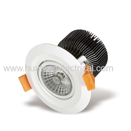 12W Aluminium Body LED Ceiling Light