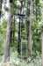 Outdoor Two Men Ladder Stand