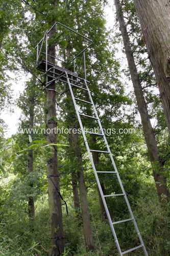 Outdoor Two men ladder stand