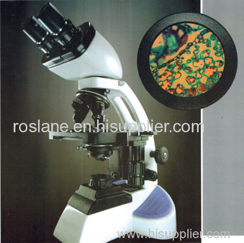 Pathology Binocular Microscope