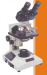 Pathology Binocular Microscope