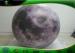 Ground Standing Moon Inflatable Advertising Air Balloon For Study / Display / Promotion