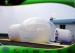 Commercial Inflatable Clear Camping Bubble Tent 1.0mm Thickness Plato PVC Vinyl