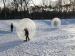 Commercial Grade PVC Roll Inside Inflatable Ball With Colorful Glow