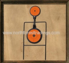 Outdoor Dual Spinner Target