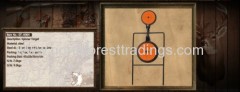Outdoor Dual Spinner Target