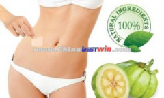 Garcinia Cambogia Extract Slimming Patches As Seen On TV