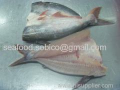 Export cheap price pangasius steak 20% - 30% glazing| pangasius untrimmed fillet 30% 40% glazing| welltrimmed fillet