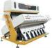 3.0-6.5 T / H Rice Colour Selector WS-B4S 256 Channels Wistar
