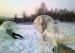 0.7 mm TPU Transparent Adult Bubble Ball On Snow