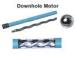 Hi - Temperature Adjustable Oil Field Downhole Drilling Motor