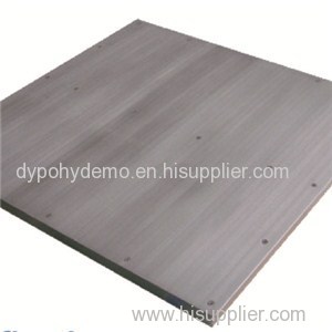 YDS Series Stainless Steel Floor Scale