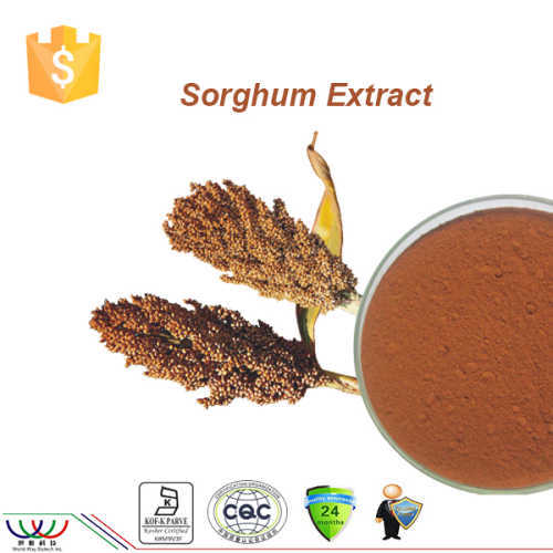 Natural anti-oxidant sorghum extract