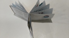 Folded business brochure printing