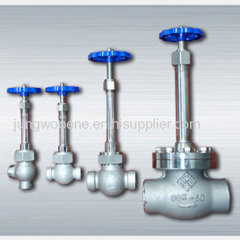 Customized Cryogenic Globe Valve