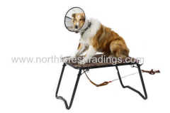 Outdoor Steel Dog stand