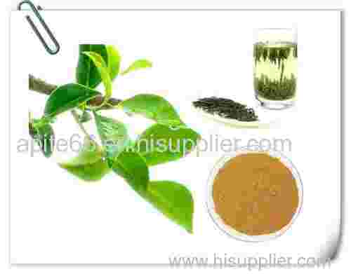 best green tea extract Green Tea Extract