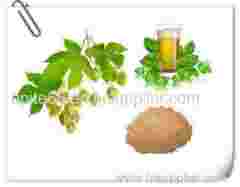 hops extract health benefits Hops Extract