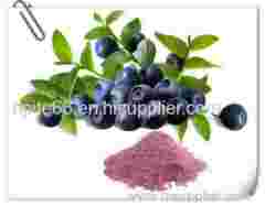 pure acai berry extract Acai Extract