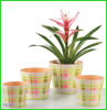 Melamine Plant Pot Melamine Plant Pot