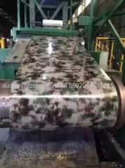 PPGI steel coil / pre-painted galvanized steel coil / PPGI COIL