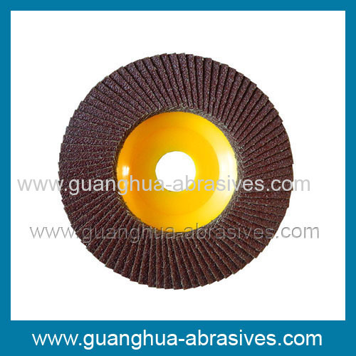 Flap Discs with Plastic Backing Pad