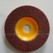 Flap Discs with Plastic Backing Pad