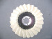 Felt Polishing Flap Discs