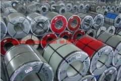 Pre-painted Galvanized Steel Coil/Sheet