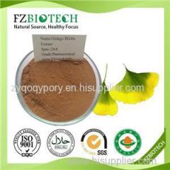 Gingko Biloba Extract Product Product Product