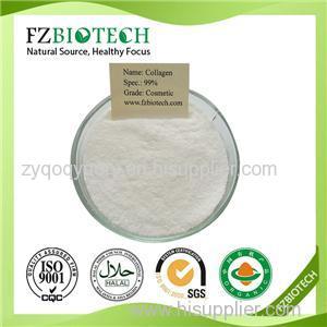 Collagen Product Product Product