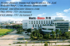Monte-Bianco Diamond Applications