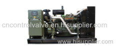 Biomass Genertor power generation