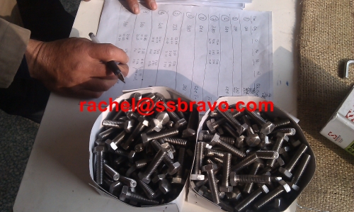 SAF2205 hex bolts and nuts high strength bolt S32205