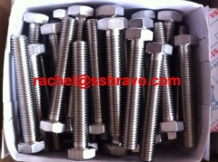SAF2205 hex bolts and nuts high strength bolt S32205