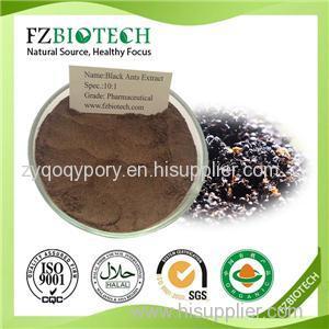 Black Ant Extract Product Product Product