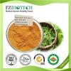Green Tea Extract Product Product Product